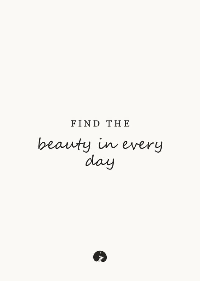 Find the beauty in every day