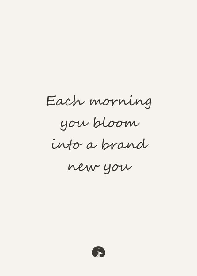 Each morning you bloom into a brand new you