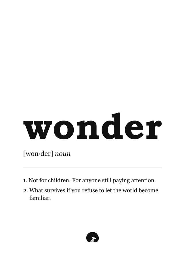 Wonder