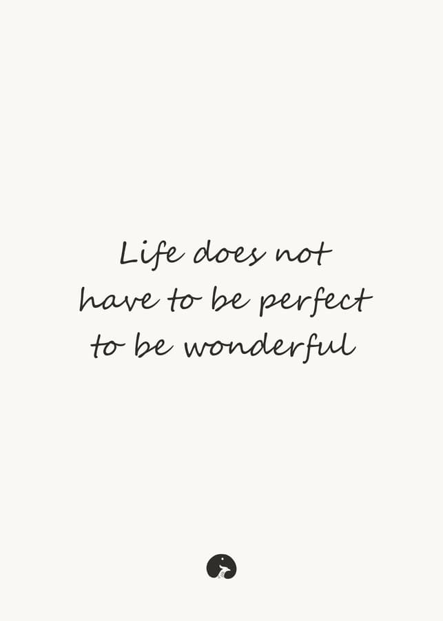 Life does not have to be perfect to be wonderful