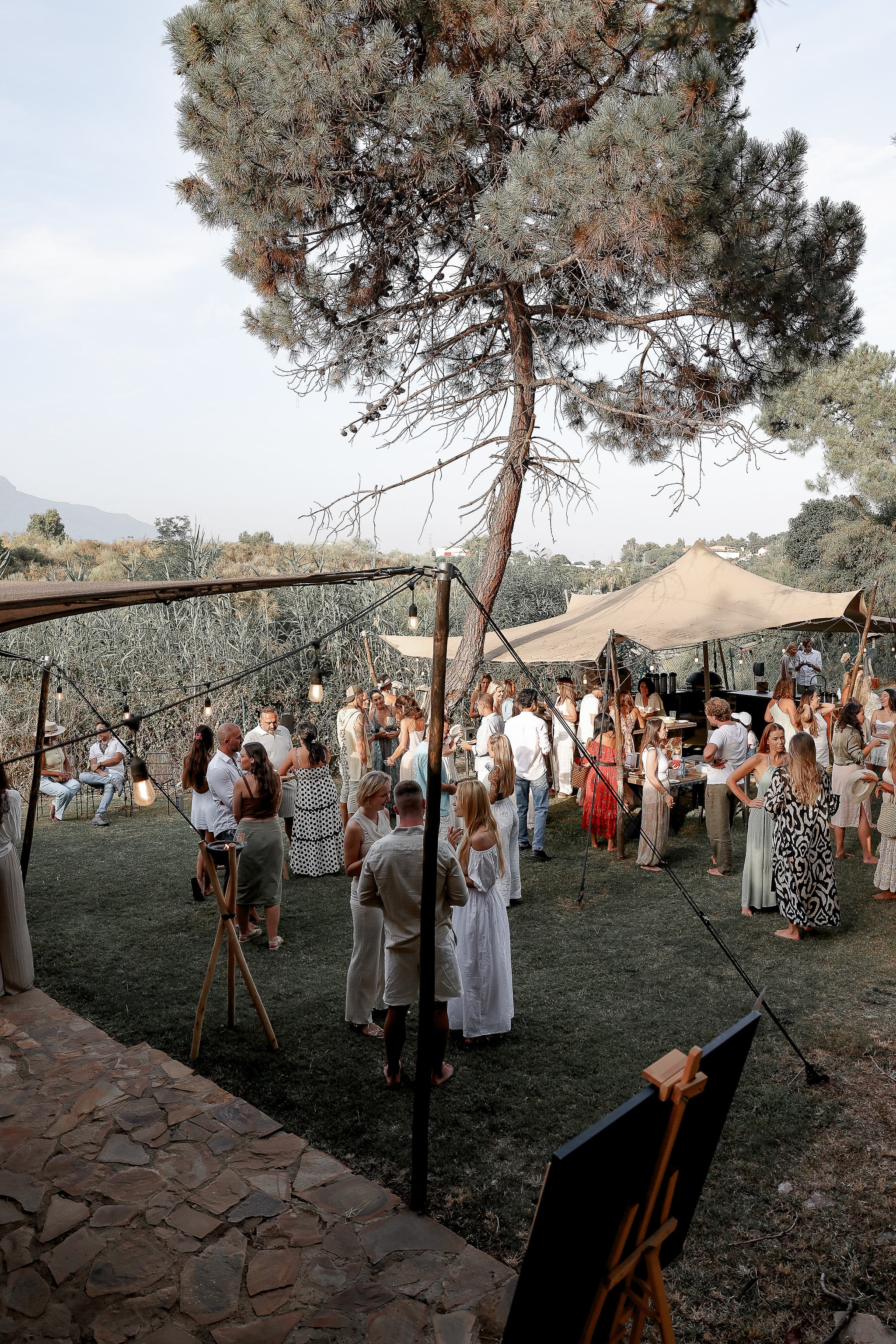 El emplazamiento: pinar, toldos y el muro montado al aire libre.
